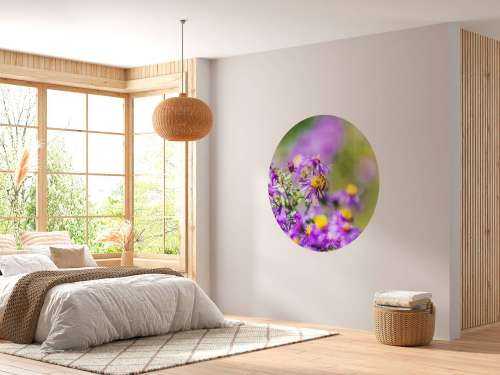 Purple flowers