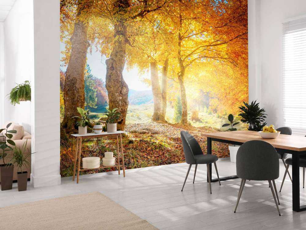 Warm autumn landscape