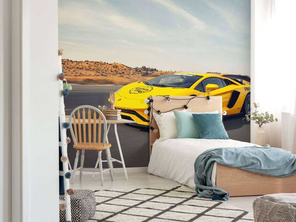 Lamborghini Aventador in action