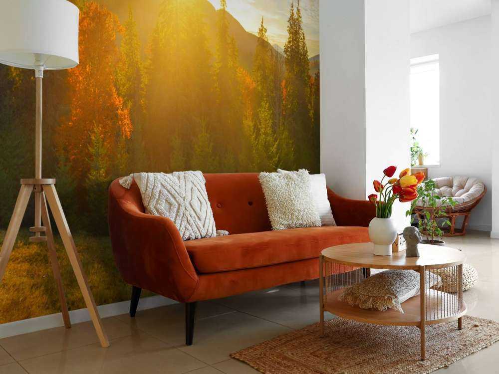 Pine forest panorama