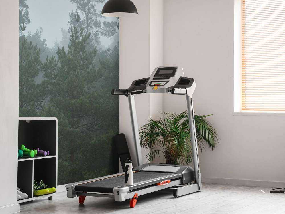 Naaldbomen in de mist