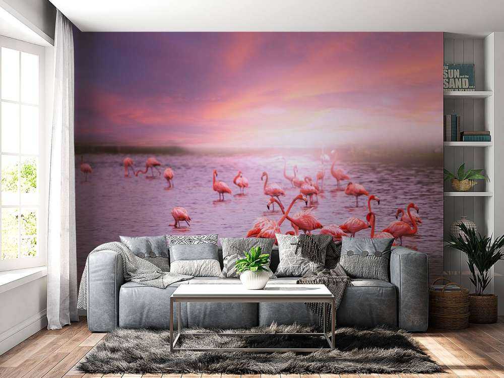 Flamingos with sunset