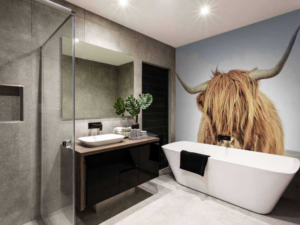 Close-up of a Scottish Highlander