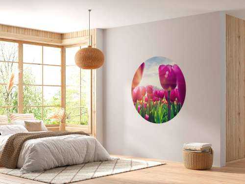 Tulipfield pink