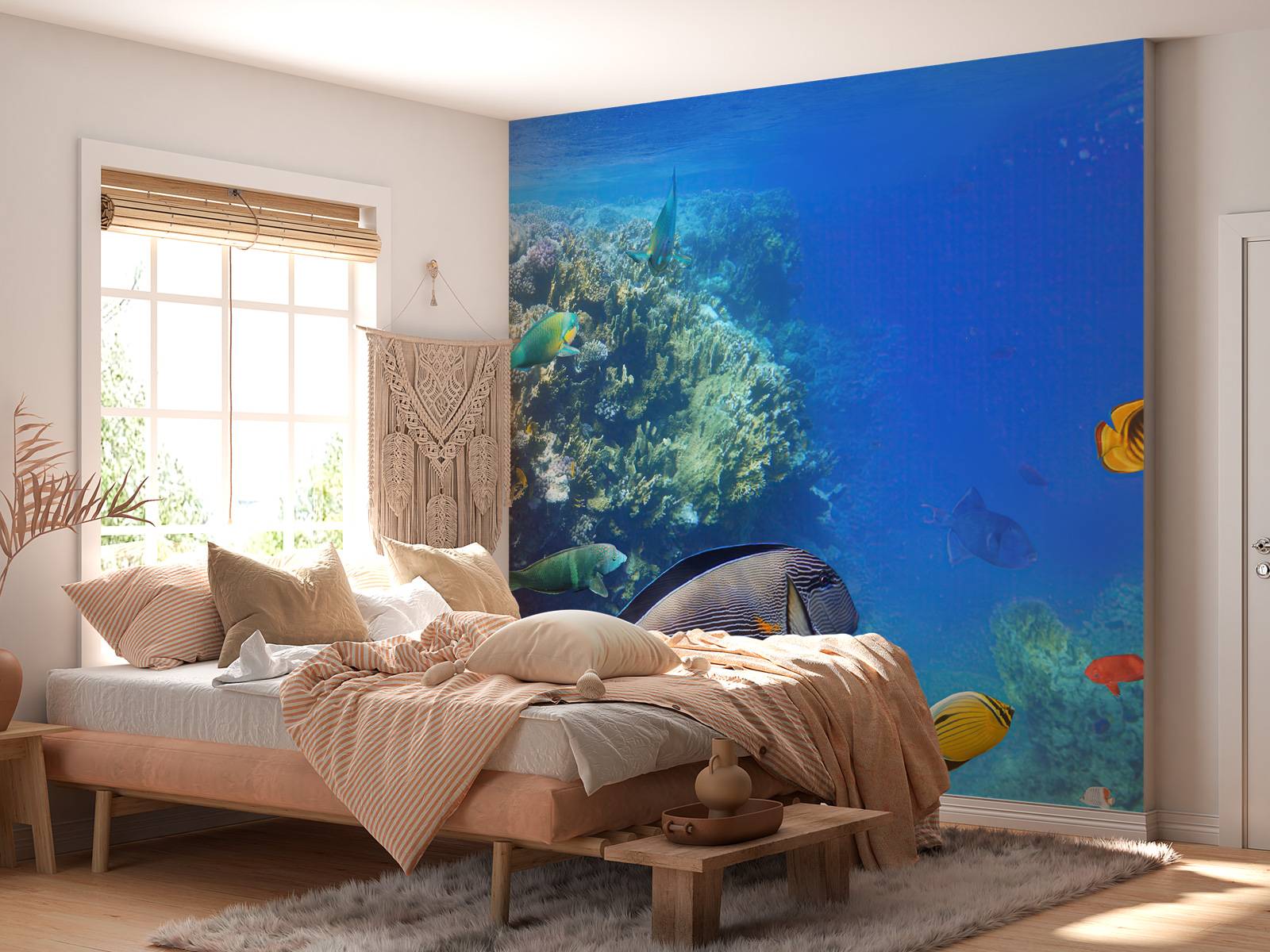 Coral reef