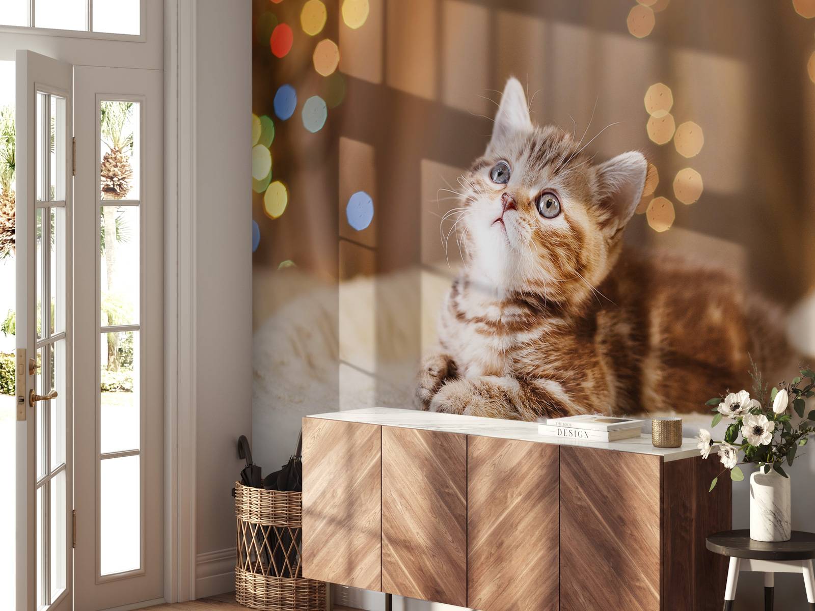 Cute kitten
