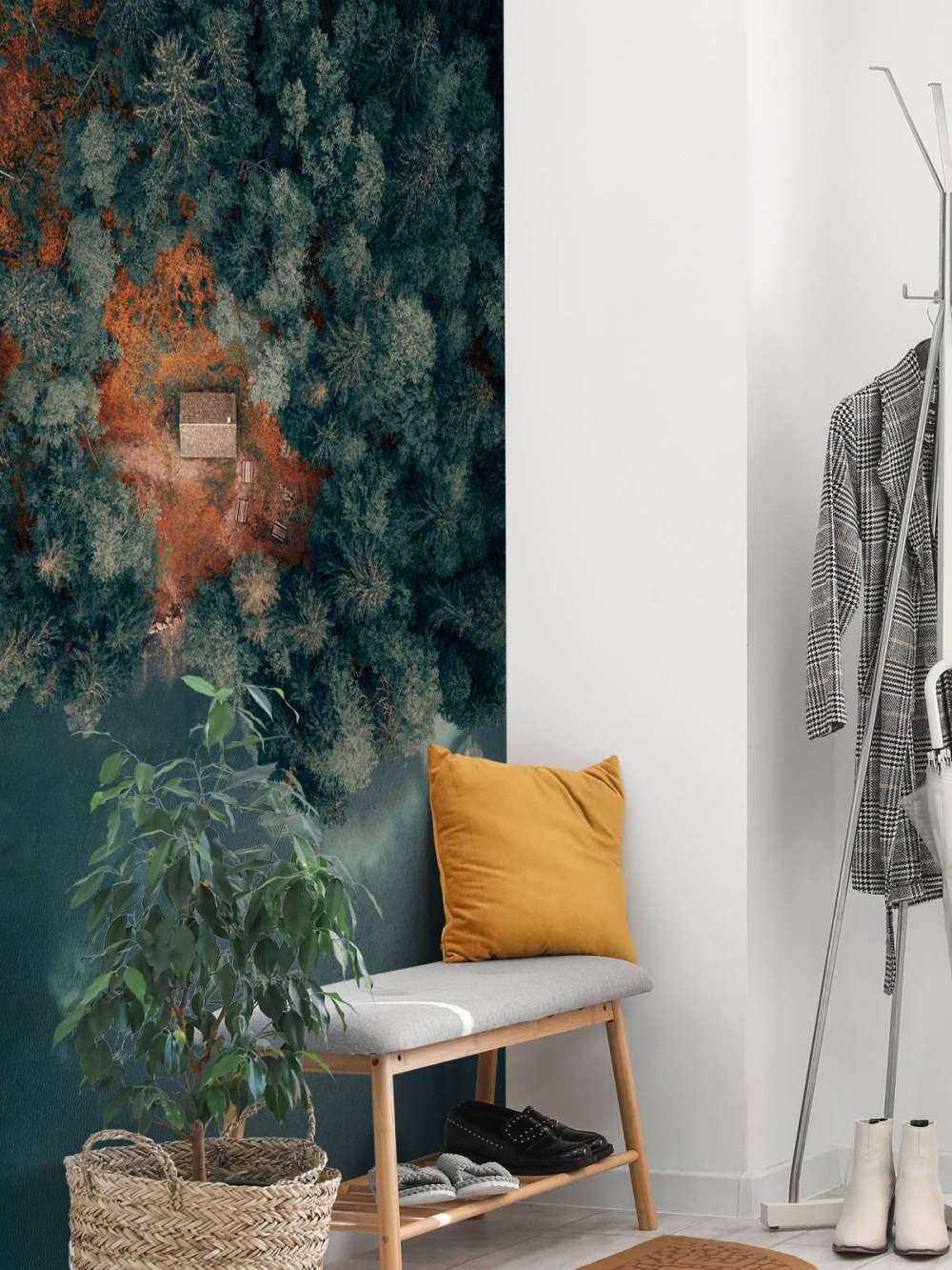 Cabin in the middle of the forest