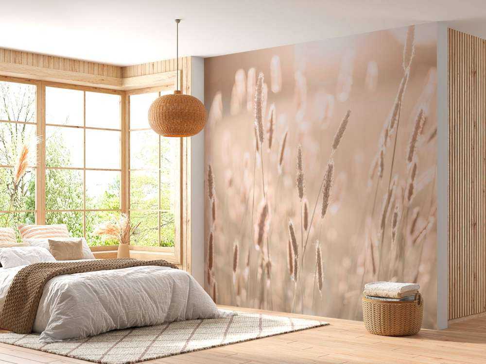 Sunlight through meadow