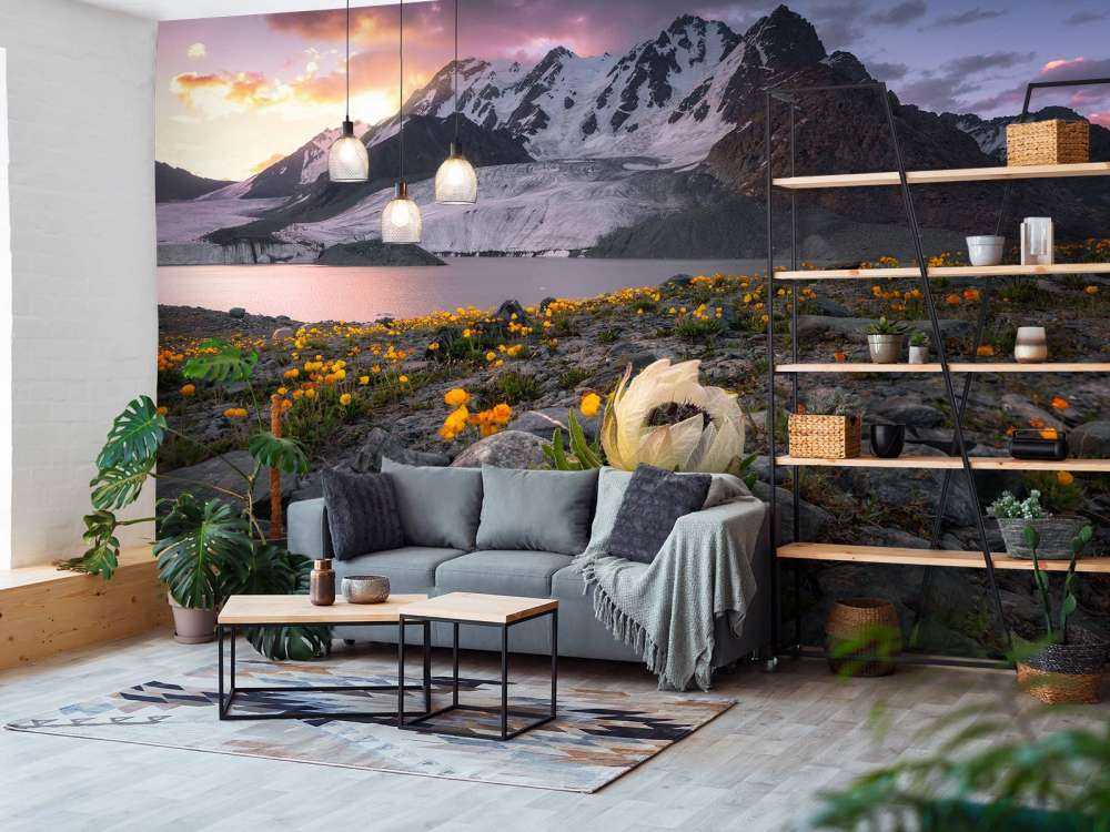 Morning at Saussurea