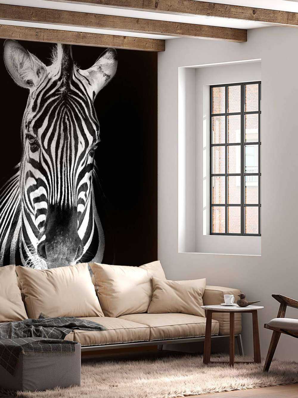 Close-up zebra black and white