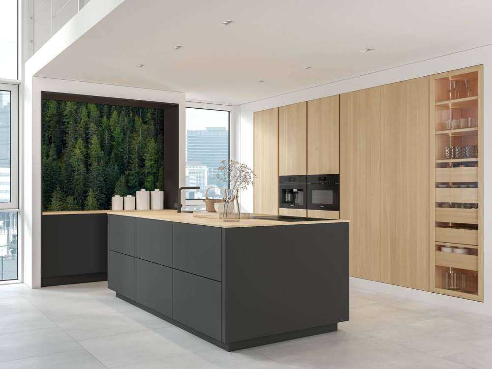 Green spruce forest