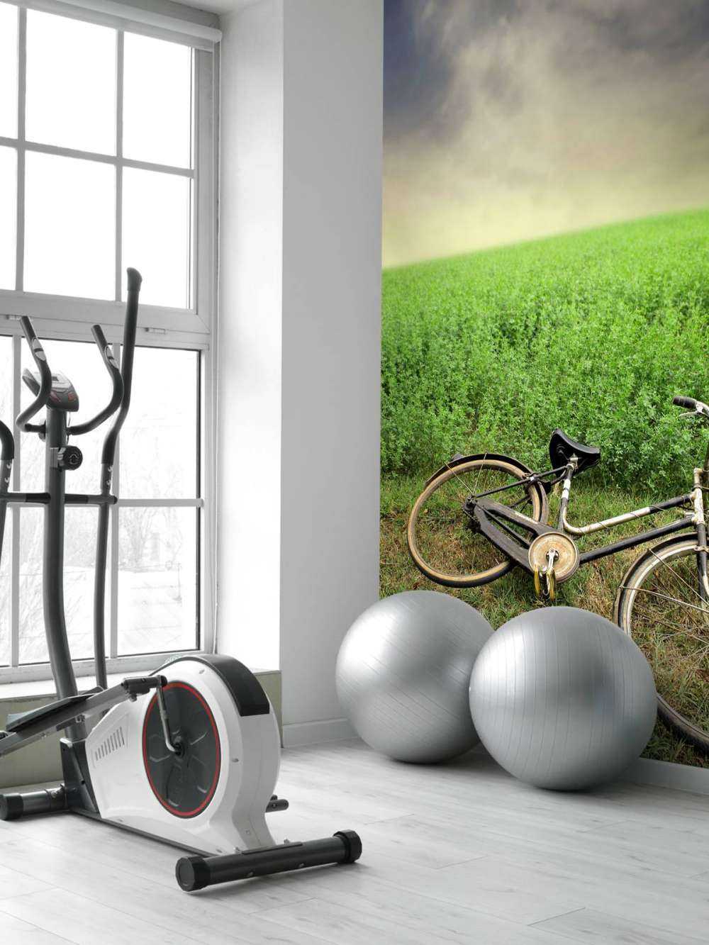 Old bicycle