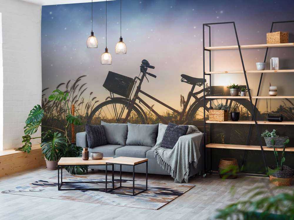 Silhouette bike