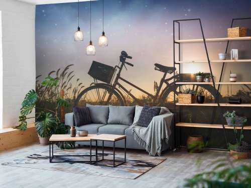 Silhouette bike