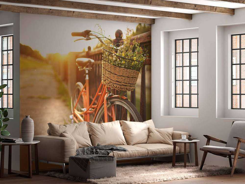 Red bike with basket