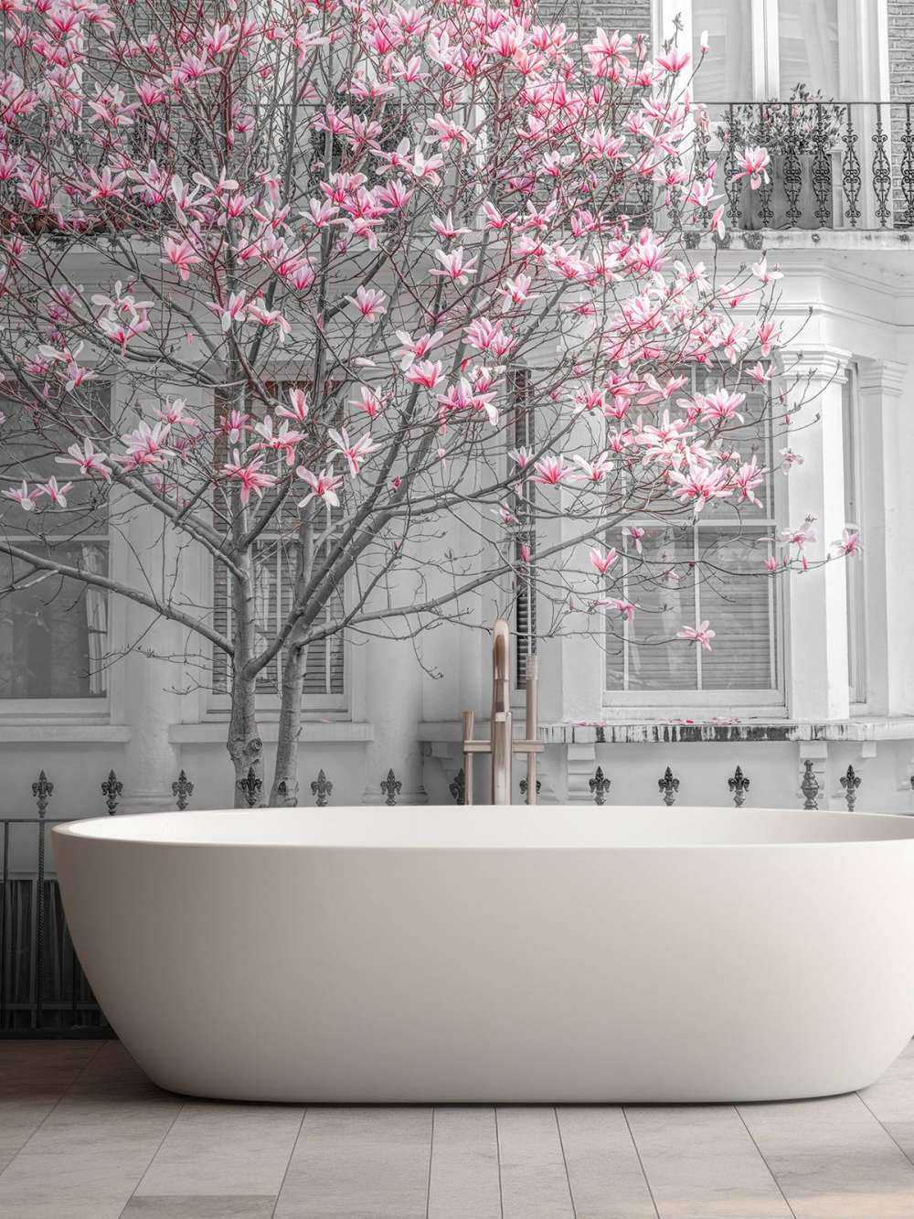 Flowering magnolia tree