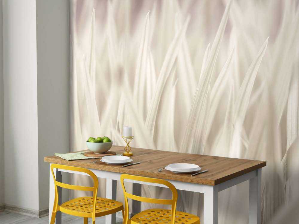 Close-up blades of grass