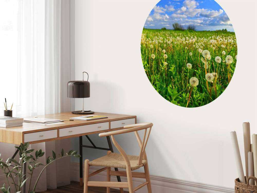 Field of Dandelions