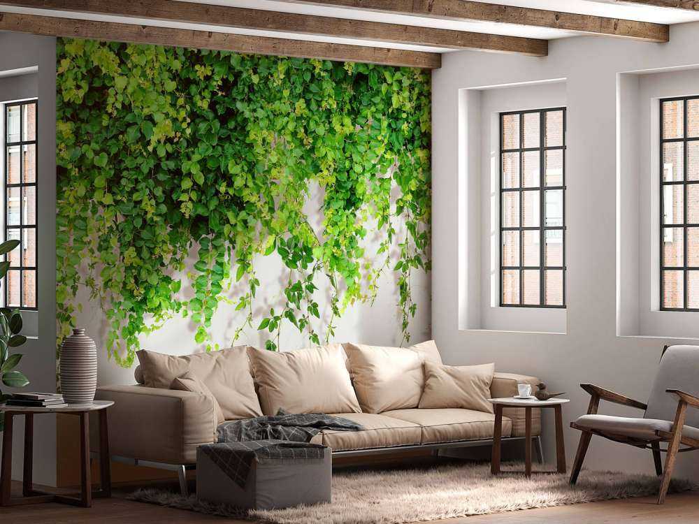 Green hanging branches