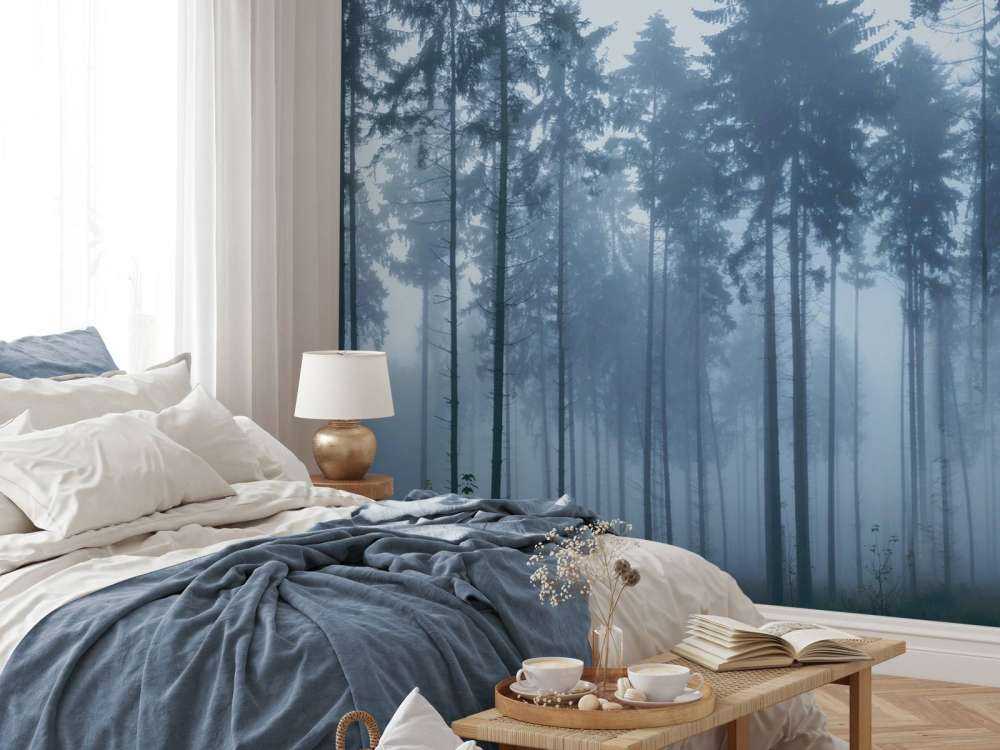 The foggy landscape
