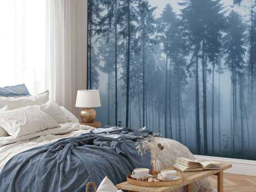 The foggy landscape