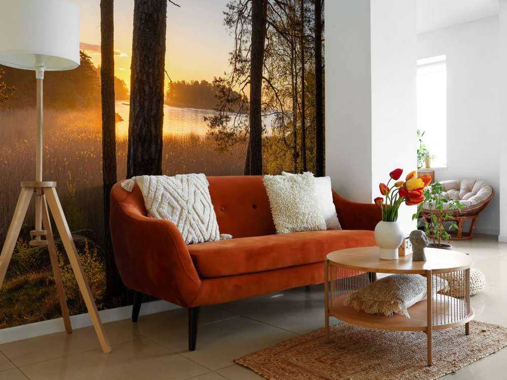 Forest during sunset