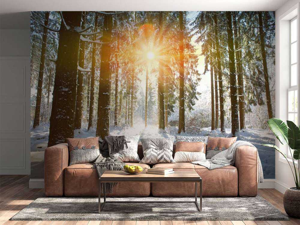 Sunlight in winter forest