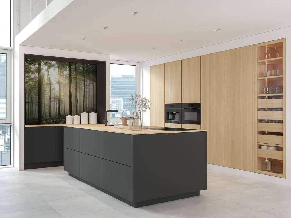 Autumn deciduous forest