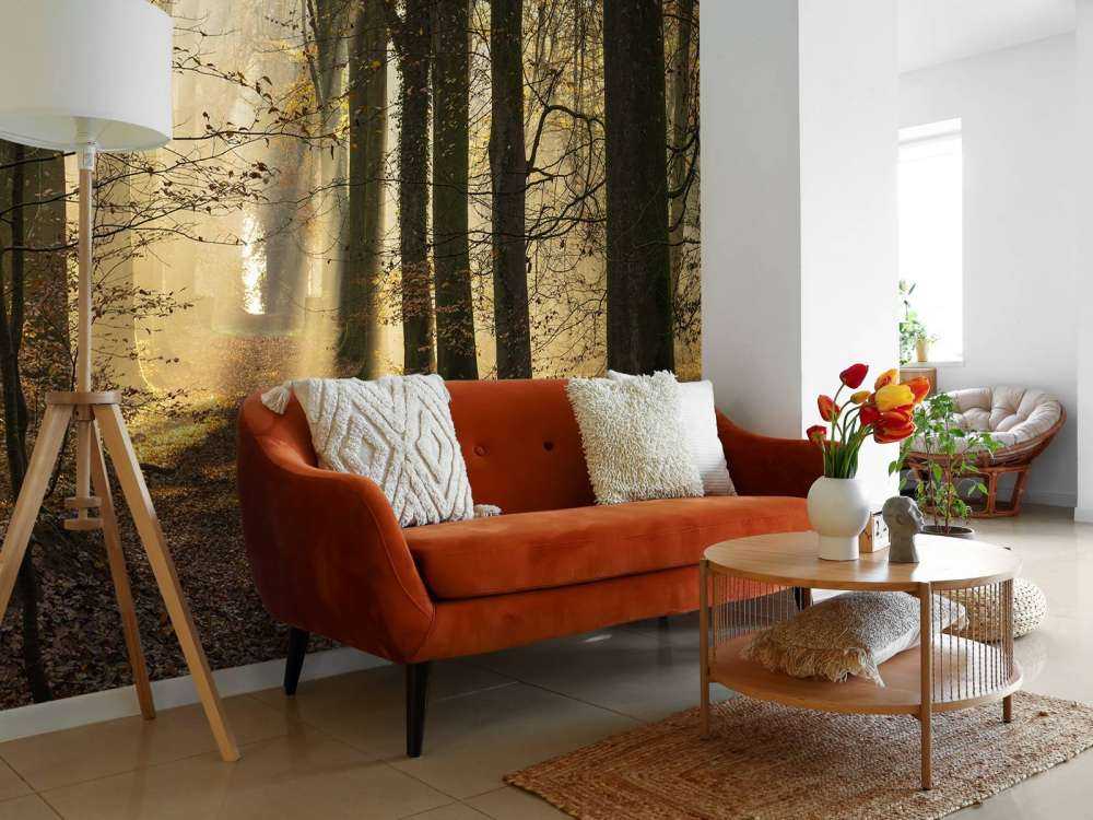 The forest of Crécy