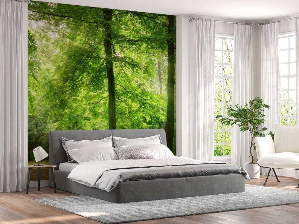 Forest with light mist