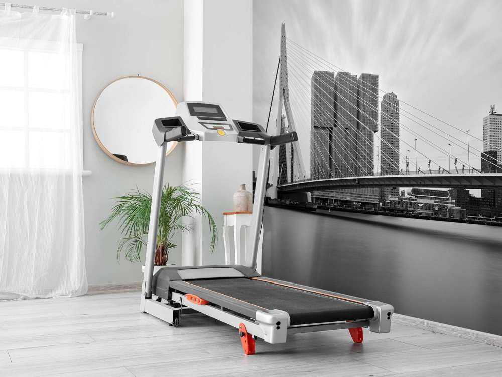 Erasmus bridge black and white 