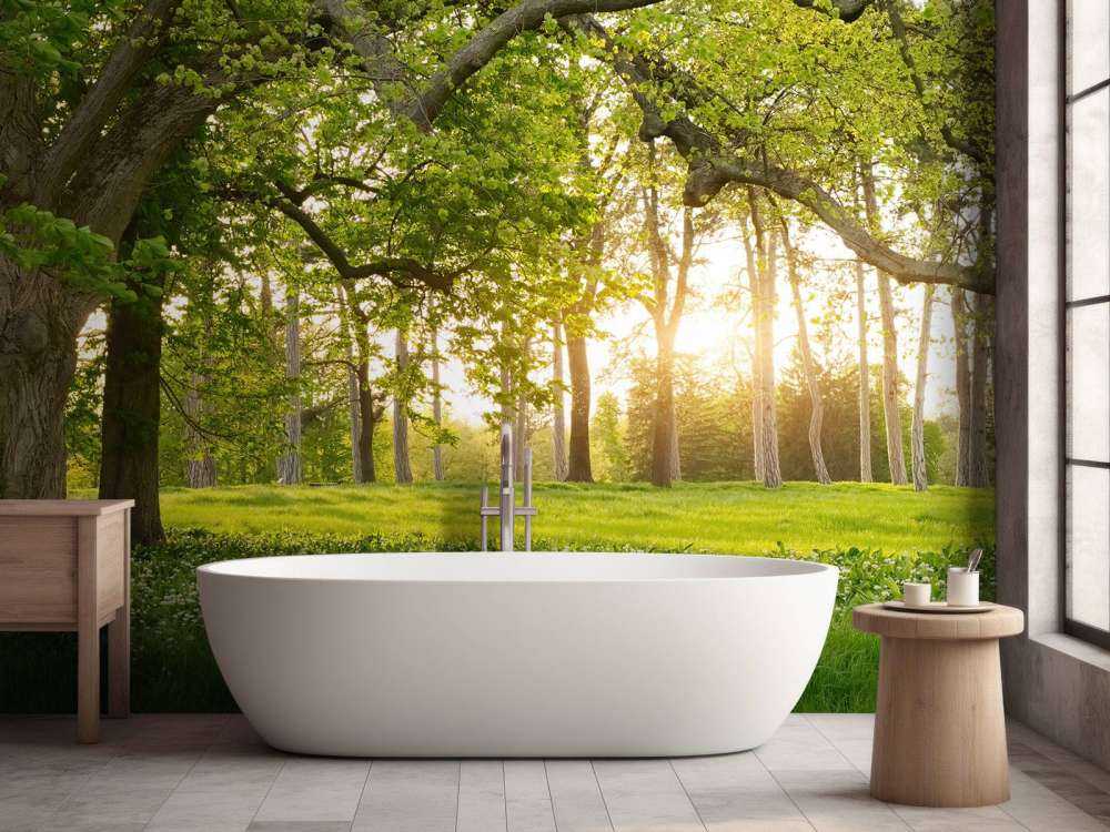 Open space in the woods