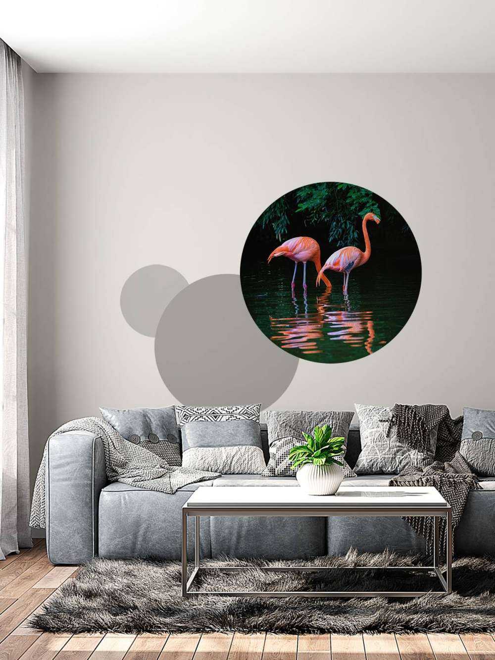 Two Caribbean flamingos