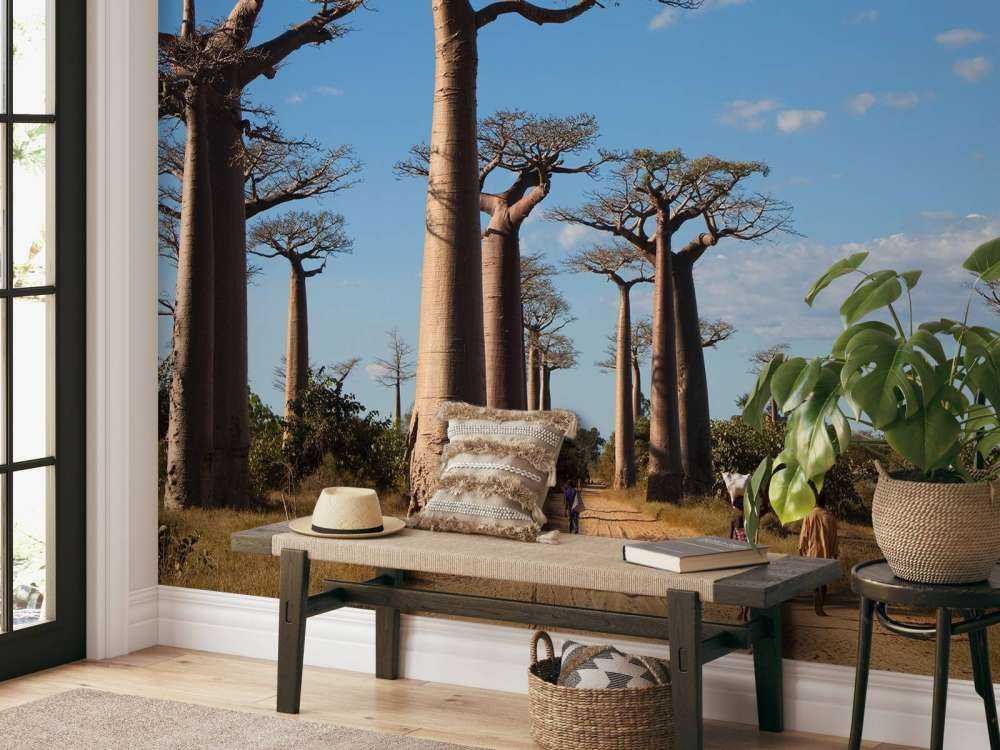 Baobab trees