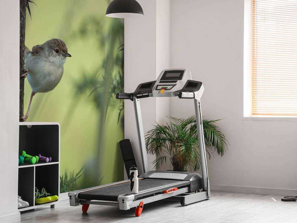 Bird on a branch
