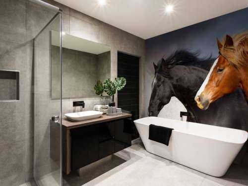 Herd of horses