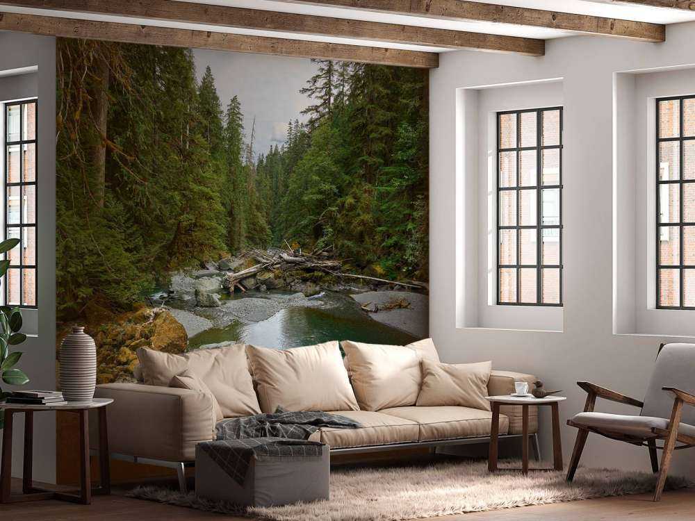 River with dam