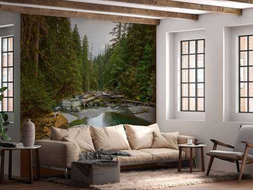 River with dam