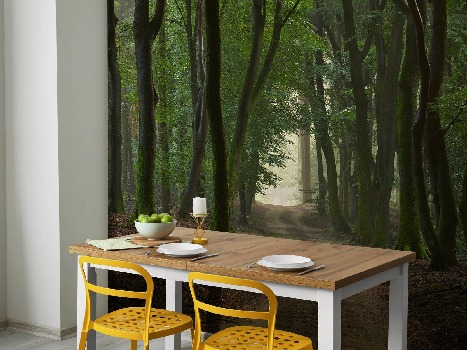 Sandpath in the forest
