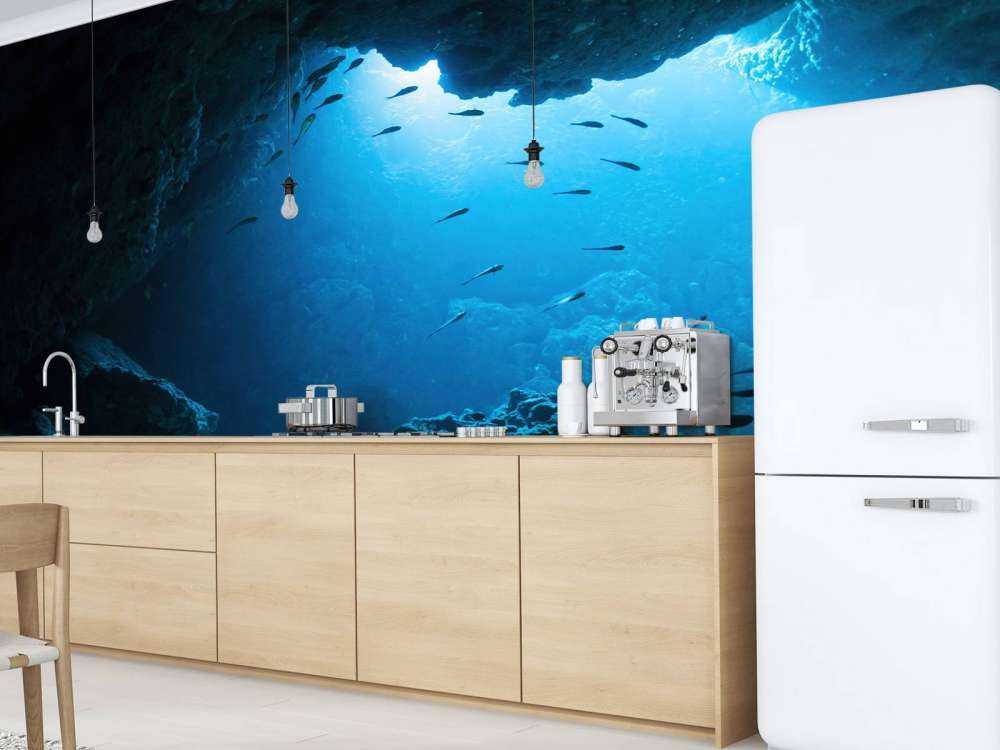 Underwater cave with fish