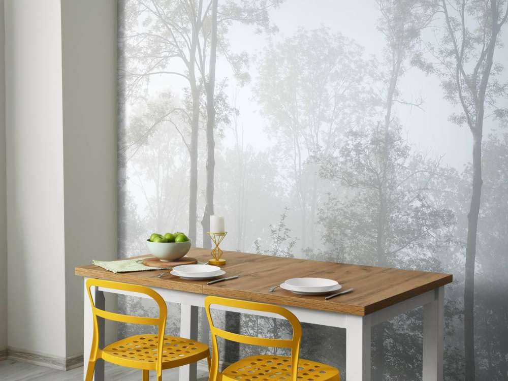 Dense fog in the forest