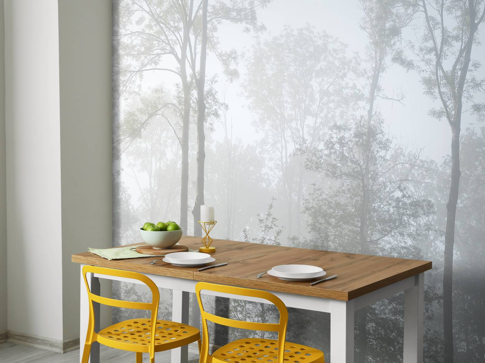 Dense fog in the forest