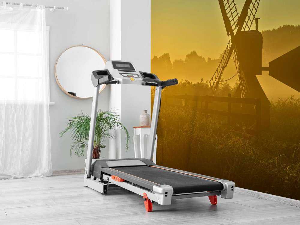 Meadow mill at sunrise