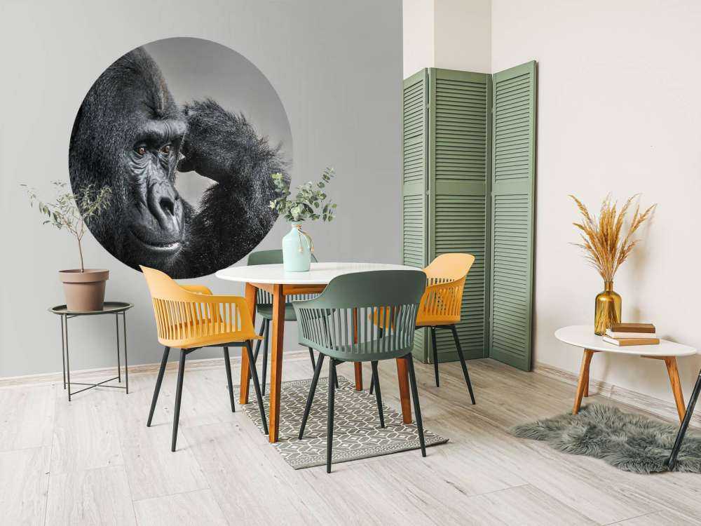 Gorilla black and white