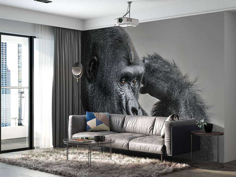 Gorilla black and white