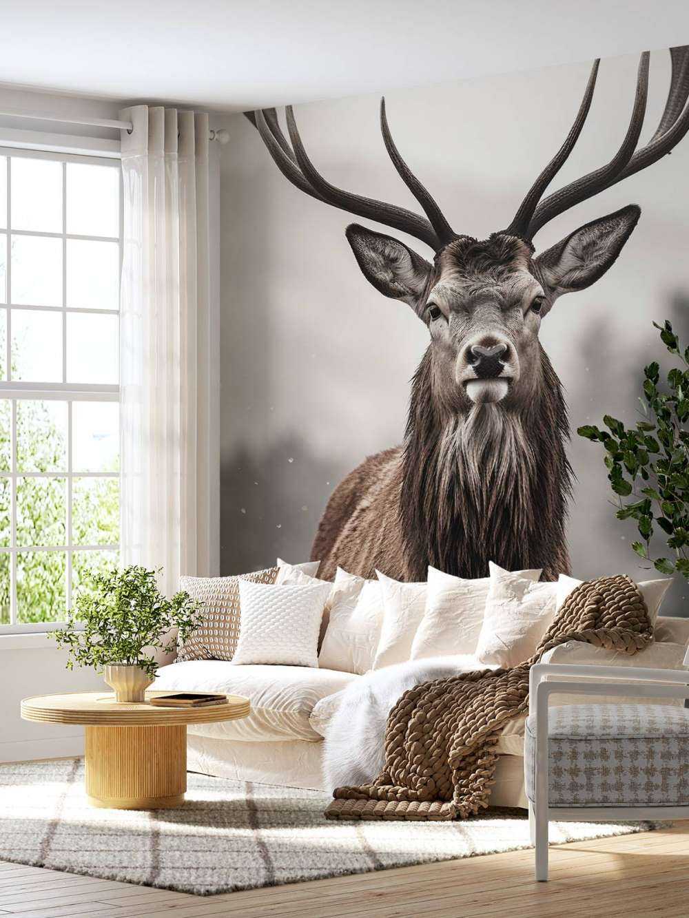 Winter King Deer Gaze