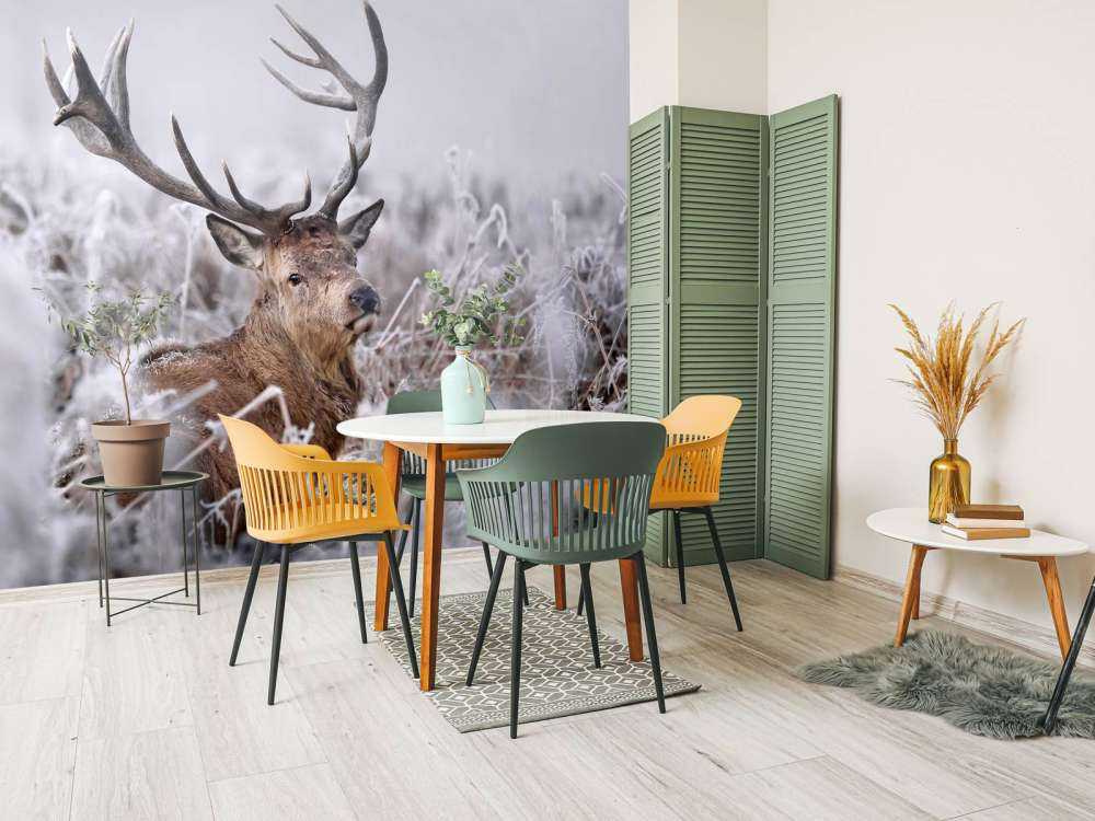 Red Deer's Winter Dream