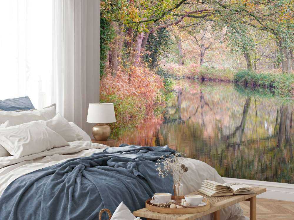 Covered colorful forest