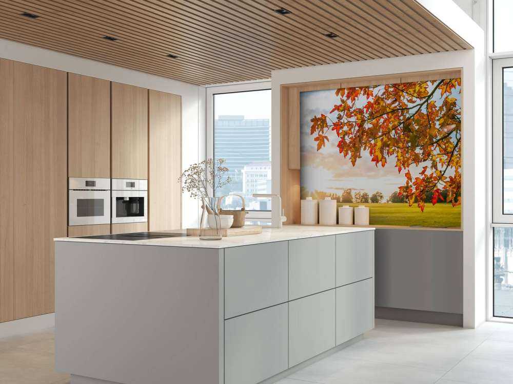 Autumn tree at sunset