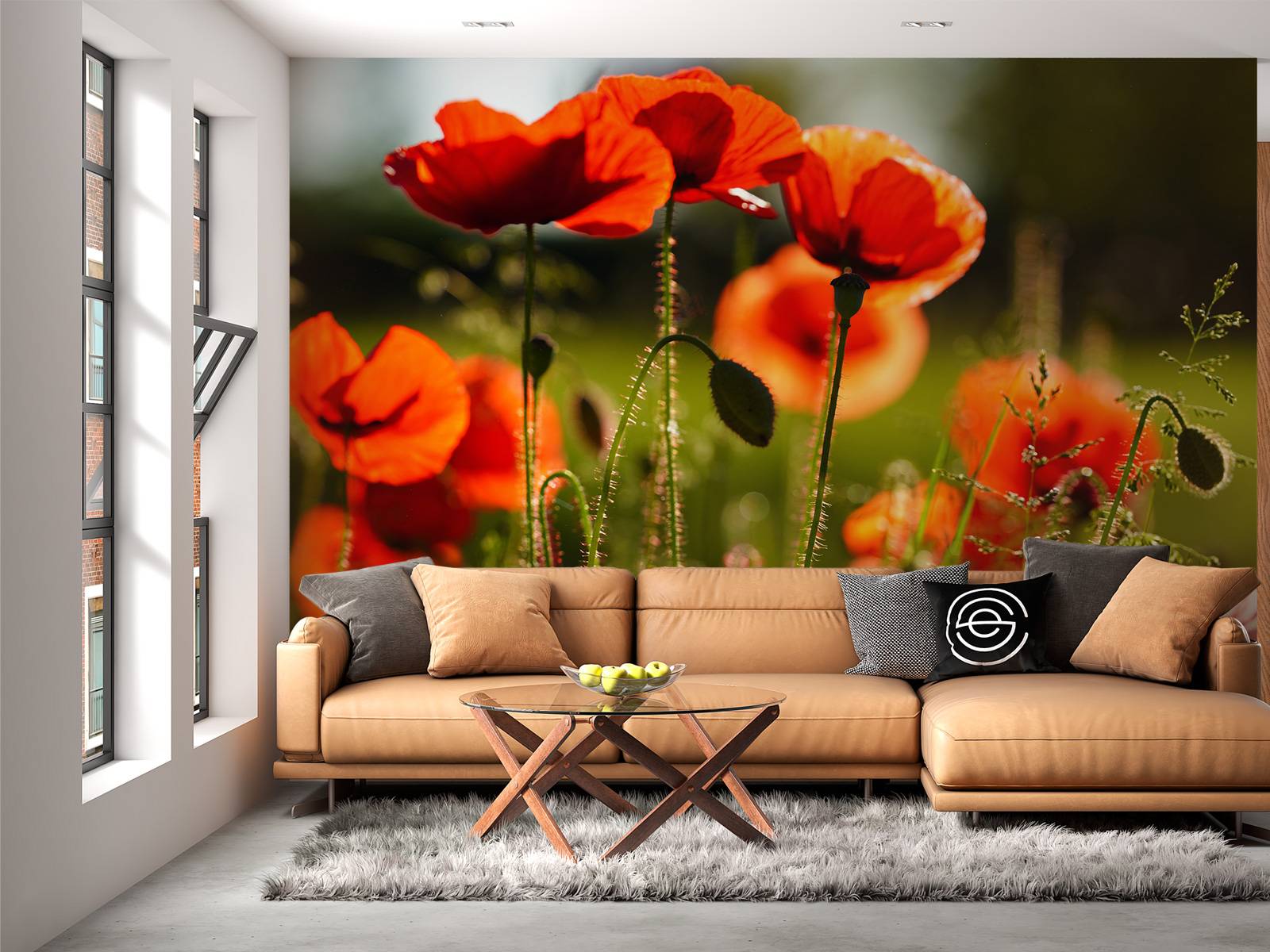 Poppies
